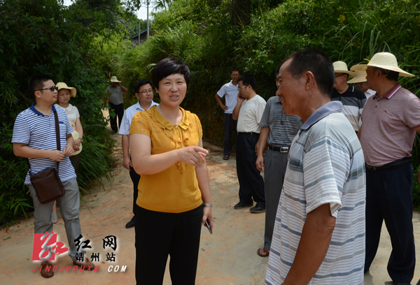 靖州县委副书记,县长张远松在新厂镇善里村充分肯定抗旱工作 龙本亮