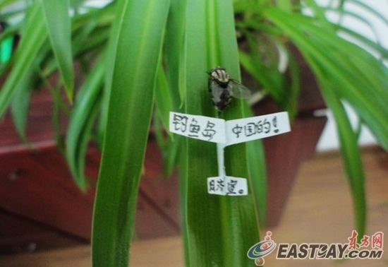 微型飞机如一枚硬币大小