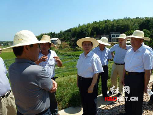 湖南省人大党组成员杨泰波（前右二）在一线指导抗旱救灾。