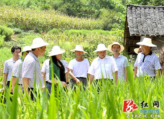 省政府抗旱救灾工作督查组深入张家界指导工作