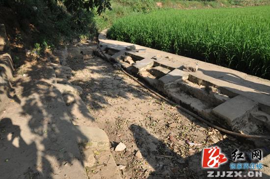 省政府抗旱救灾工作督查组深入张家界指导工作