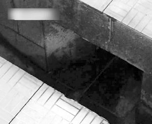 孩子从这里滑进化粪池