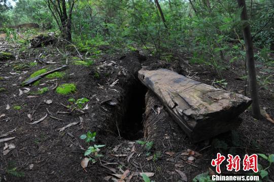 图为被开棺、毁棺的烈士坟冢。 任东 摄