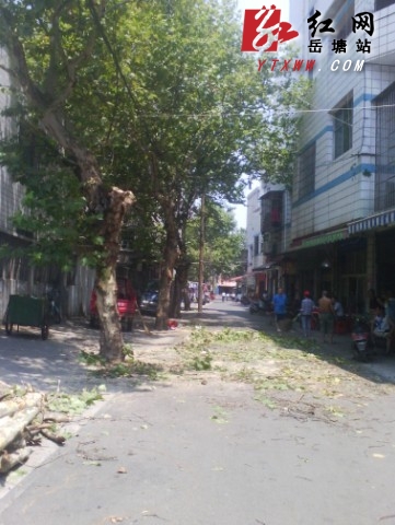 发挥城乡建设主力军作用 区城建局坚持高温下作业