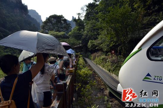 武陵源区旅游升温攻坚战喜结硕果