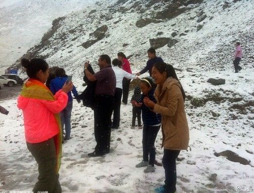 八月飞雪给人们带来惊喜(微博截图)