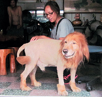 从事美发业的原主人陈姿蓉表示,努玛是纯种的黄金猎犬,毛色柔顺亮丽,以前心血来潮,帮努玛剃毛,还参考国家地理频道播出的狮子节目,后来发现努玛特别喜欢,就一直以小狮子造型示人。联合报图