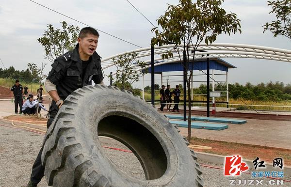 喜讯！张家界特警在2013年全省公安特警比武中喜获佳绩