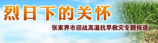 向佐谊主持召开张家界市抗旱应急会商会