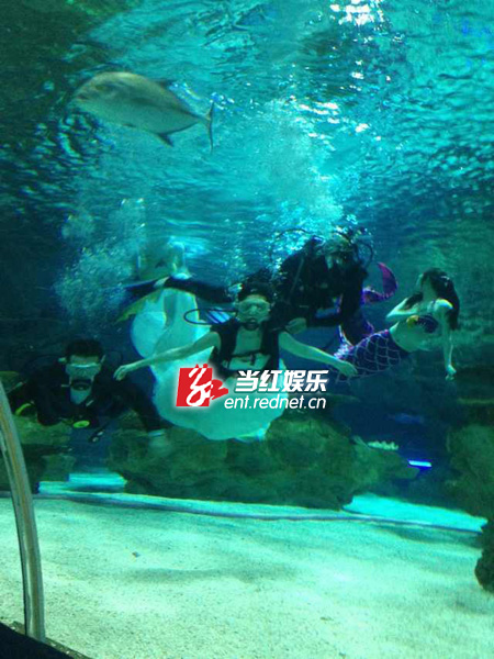 张译与海清水下婚礼