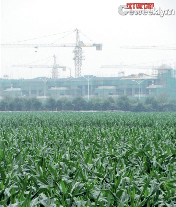 庄稼地里的在建别墅 本刊记者 王勇|摄