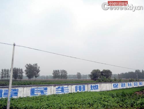 东街村被强征的土地已荒芜两年 本刊记者 王勇|摄