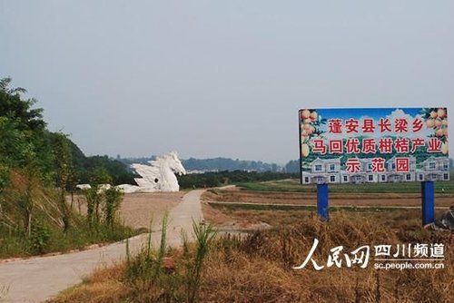 通往“天马”雕塑的小道，旁边柑橘产业示范园牌子特别醒目。（记者郭洪兴 摄）