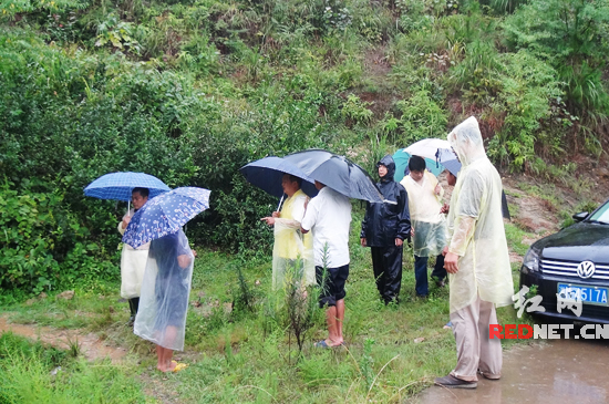 【永州】洪灾损失4000余万 江永国税一线抗洪