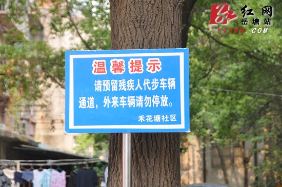 网友疾呼给残疾人留条出路续：谭海洋要求五天内解决问题