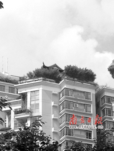 深圳南山疑现最牛屋顶违建