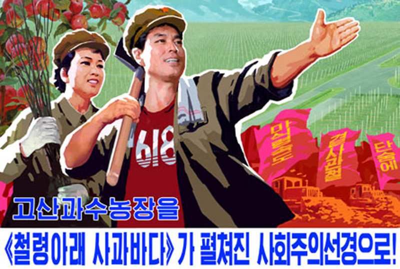 　《将高山果木农场打造成“铁岭下的苹果海”的社会主义仙境！》图片来源：朝鲜《劳动新闻》