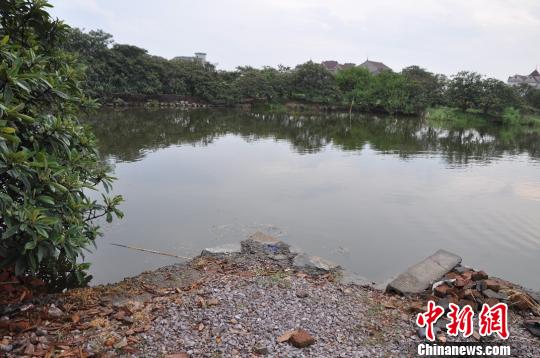 浙江杭州两女童水塘溺水一人死亡一人仍在抢救