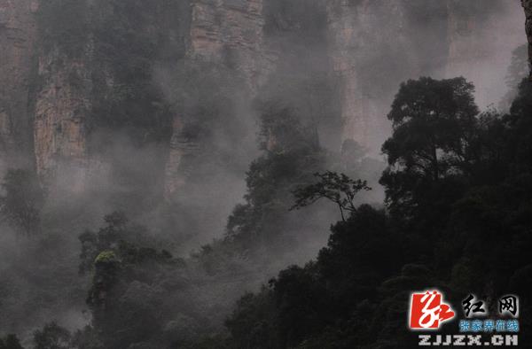张家界核心景区迎来秋日首场云海奇观