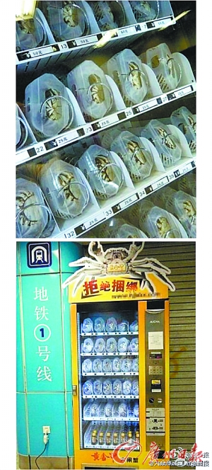 广秀图 热点趣图精彩呈现