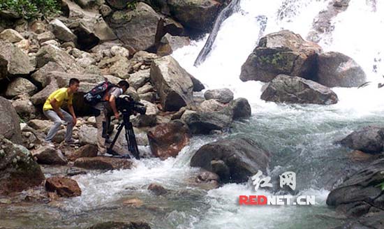 央视摄制组在神农谷珠帘瀑布取景。