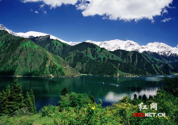 美丽的天山天池景区，是开展户外运动的天堂。