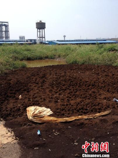 图为:近日被倾倒在路边的印染污泥。 朝露环保公益服务中心志愿者 摄