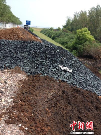 图为:近日被倾倒在路边的印染污泥。 朝露环保公益服务中心志愿者 摄