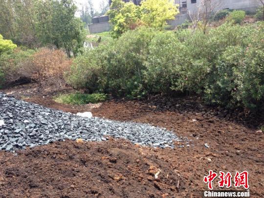 图为:近日被倾倒在路边的印染污泥。 朝露环保公益服务中心志愿者 摄