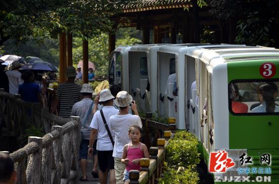 武陵源核心景区暑期接待19岁以下学生近15万人
