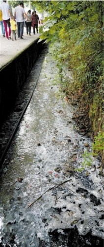 杭州西湖景区溪流变乳白色系污水管渗漏所致(图)