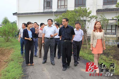 市州聚焦 长沙 望城区 正文 农业部专家组调研望城家庭农场建设.