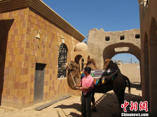 图为天漠影视基地，该地将为《鬼吹灯》拍摄地，届时会使用骆驼拍戏。 刘洋 摄