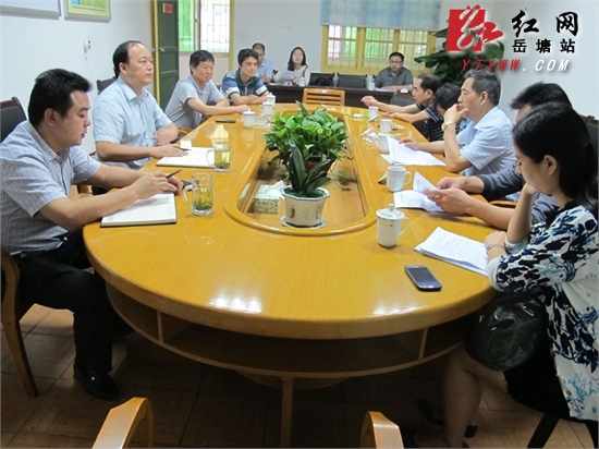 市政府副巡视员谭文生一行对岳塘区部分重点项目进行督查