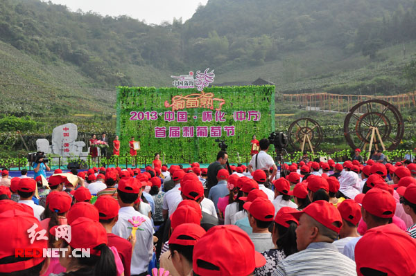 中国·怀化（中方）首届刺葡萄节开幕。