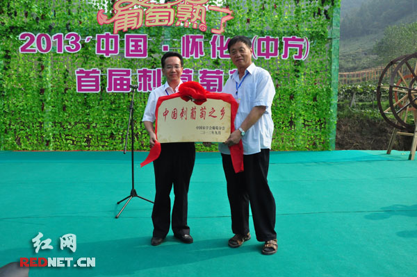中国农学会葡萄分会向中方县颁发“中国刺葡萄之乡”牌匾。
