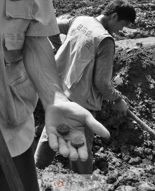 泥土堆里找到的铜钱