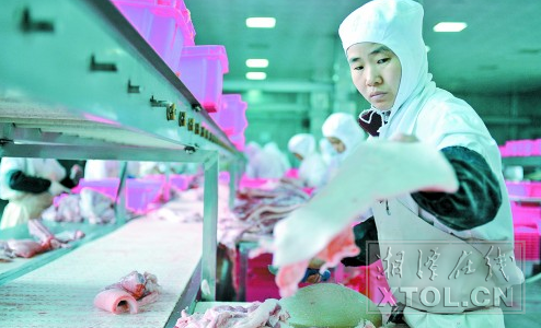 五大主导产业引领 湘潭加快推进农业三化进程