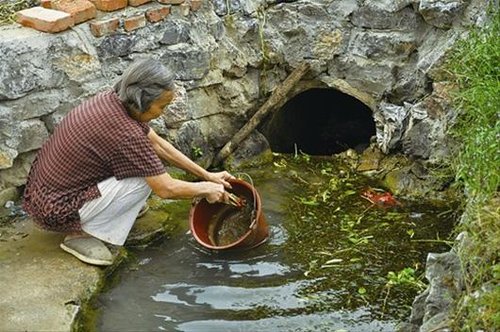 72岁儿媳奉养93岁公婆24年 担心自己先走一步