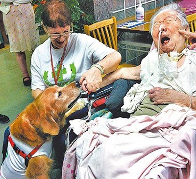 台湾“狗医生”义诊 打滚撒娇逗笑中风婆婆(图)