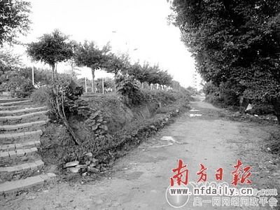 广东清远“围墙遮丑”不修路 官方:是开发商行为