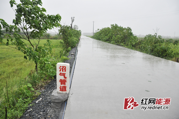桃源县枫树乡庄家桥村铺设的沼气管道，目前已完成200户村民的入户沼气管道铺设。