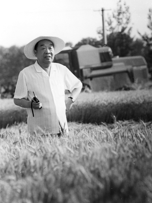 中国村魂——追忆新乡刘庄村原党委书记史来贺