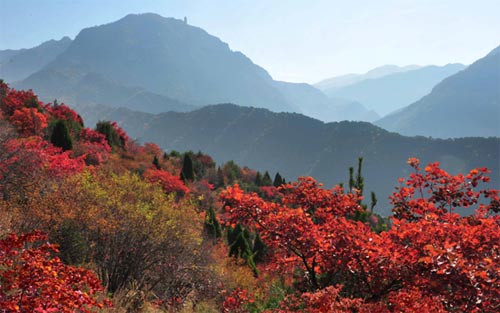 石膏山魅力风景，十一出游好去处。