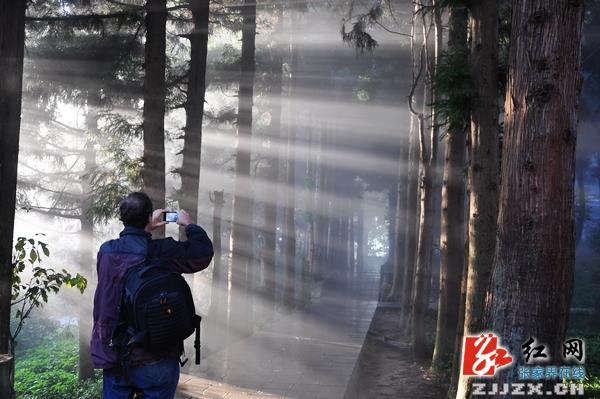 张家界黄石寨秋日云海美景醉游人