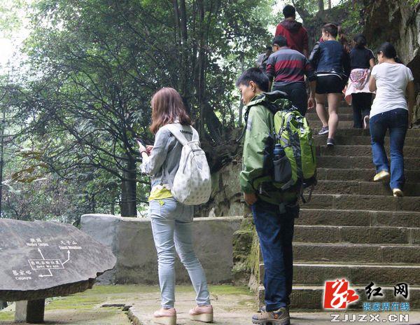 【十一黄金周】武陵源景区徒步游受游客青睐