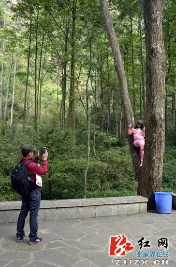 骑上雕像留影 武陵源风景区向不文明行为说“不”