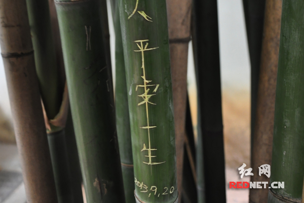 岳麓书院竹林屡遭刻字 游客质疑为何不设警示