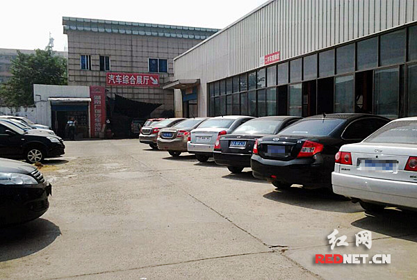 店外的停车坪也是车满为患。