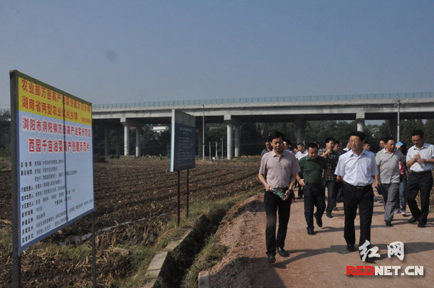 与会人员在洞阳镇西园社区、砰山村的千亩油菜示范基地进行现场观摩学习。